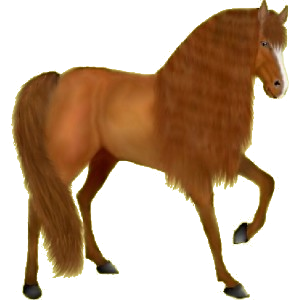 Riding Horse Thoroughbred Chestnut