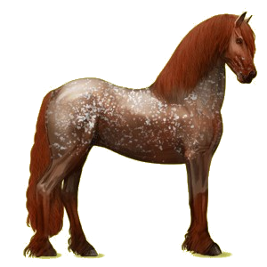 Riding pegasus Friesian Black