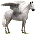Riding pegasus Hanoverian Light Gray