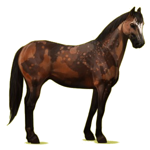 Riding Horse Paint Horse Dapple gray Tobiano