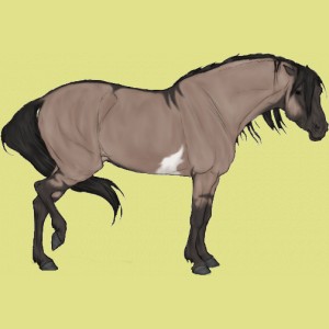 979-normal.jpg
