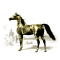 ᙞꙙᏼⲑꮮⲛꙙ