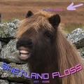 shetland floss