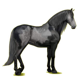 Pegaz wierzchowy Koń andaluzyjski Jasnosiwa