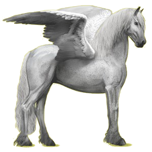 Pegaz wierzchowy Koń fryzyjski Kara