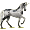 Jednorożec wierzchowy Siwa Jabłkowita