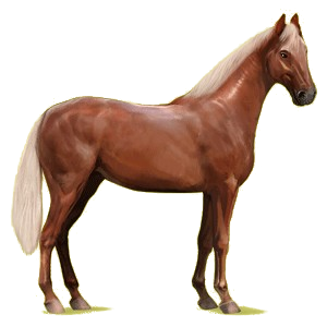 Pegaz wierzchowy Koń hanowerski Jasnokasztanowata