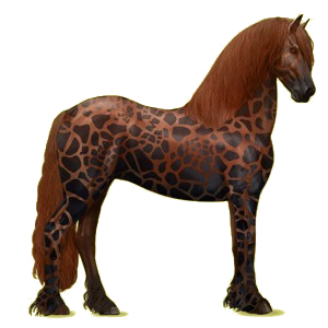 Koń wierzchowy Koń fryzyjski Kara