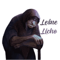 leśne licho