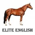 elite english