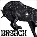 ʙʀᴇᴀᴄʜ