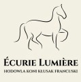 Écurie lumière