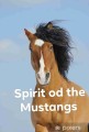 spirit of the mustangs
