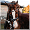 lux achatis