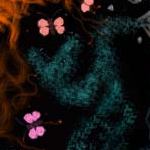 attack of the toilet snake! by dubious intellect