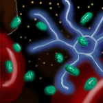 First effort. Trying to increase skill. by dondelelcaro