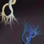 wraaaaah! by proclaim