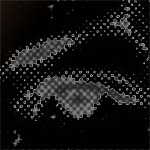 bee @ rundschau by kammeraffe