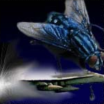 Flights of Fancy by PixelPolisher