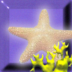 Star Light under the sea by PixelPolisher