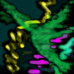 dancing fish by magneticm