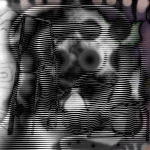 phrozen_roach_01 by Acid11