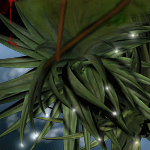 upside-down magical plant thing by kirbyUFO