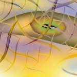 worms by nauti1us
