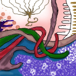 bacteria dinner at majestic cafe by MrBeefy