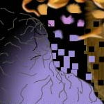 by takkie