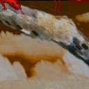 Lizard on a log with orange clouds in the background by solthar