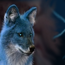 altered a stockphoto for this one... by UglyPuppy