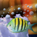 findthefish by UglyPuppy