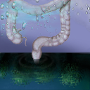 pretty/gross? by ireenquench