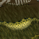 anaconda with a full belly by raganaga