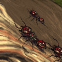 "more and more ants:)" by maxetormer