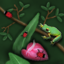 Ladybugs by NetCritter