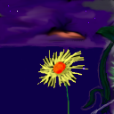 Sunny flower by vecs