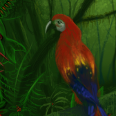 Hello, my Beauty. by gecko