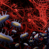 mouldy critters by ireenquench