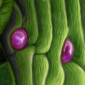 Beast #1 (Evil biomass) by glytandrus