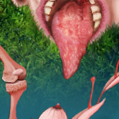 teddyknee, flower & leeringmouth by ireenquench