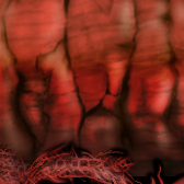 Beast #2 by glytandrus