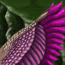 winged avenger by raganaga