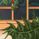 firefly running amok in the solarium by raganaga