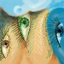 "Picasso/Dali" ish by renee