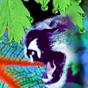 alien cougar lost in an earthly jungle by tetratomic