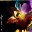 digismack.net | get smacked by digismack