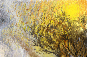 "fall in fire" by maxetormer