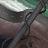 a view from atop a pole by Valacar